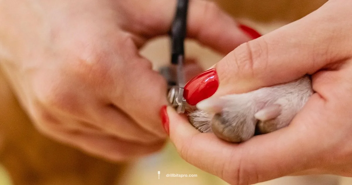 Nail Drill Safety - Drill Bits Pro