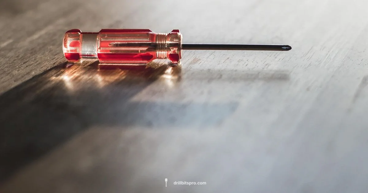 Screw with a Drill - Drill Bits Pro