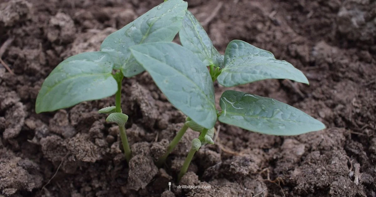 No Till Drill Guide - Drill Bits Pro