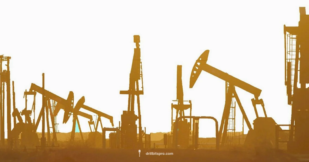 Oil Drilling Basics Oil Drilling Basics - Drill Bits Pro