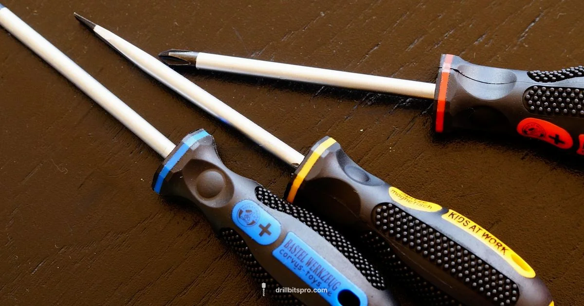Drill Bit + Screwdriver - Drill Bits Pro