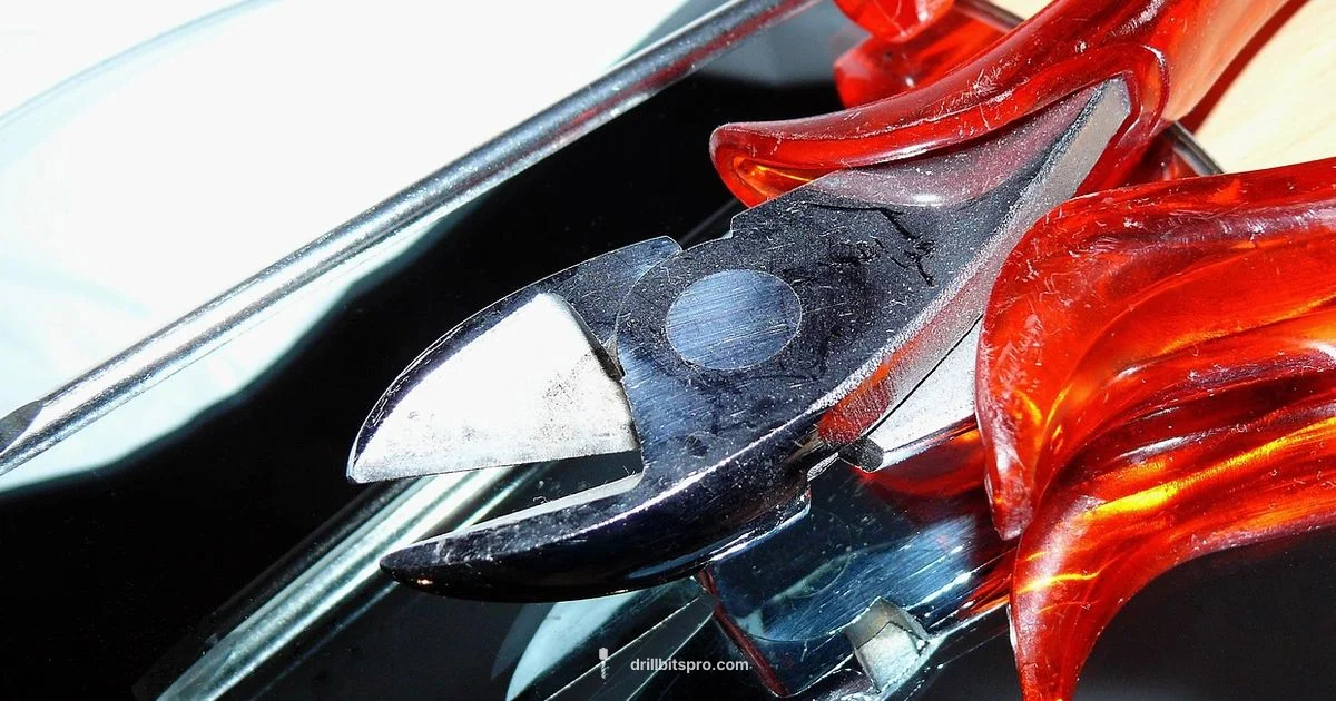 Drill vs Screwdriver - Drill Bits Pro