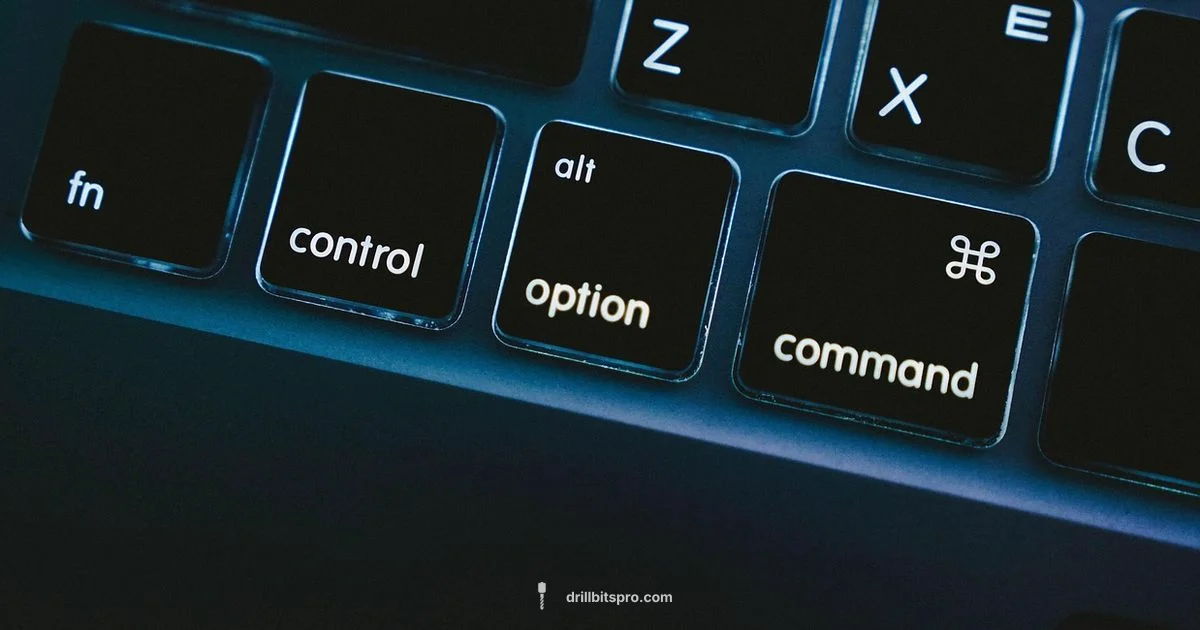 Disk Drill Mac Guide Disk Drill Mac Guide - Drill Bits Pro