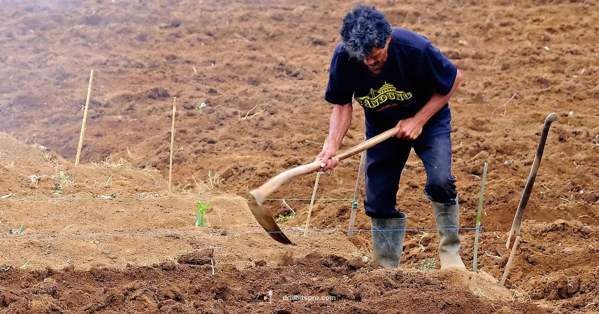 No-Till Drill Sale - Drill Bits Pro