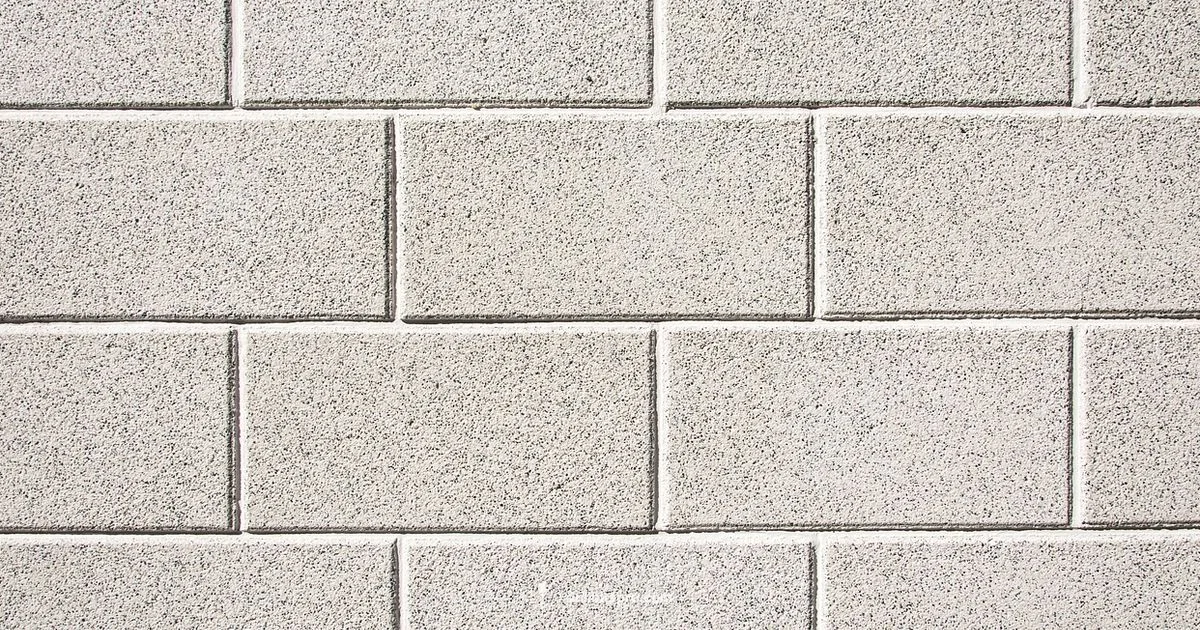 Impact Bits Guide Impact Bits Guide - Drill Bits Pro