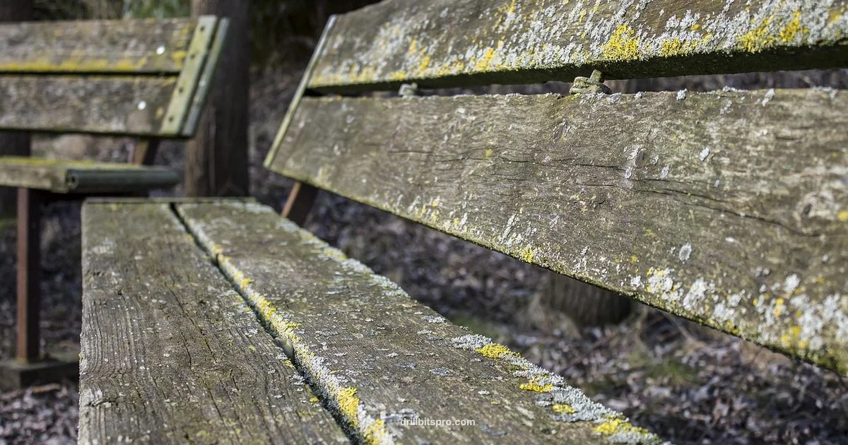 Wet Wood Drilling - Drill Bits Pro