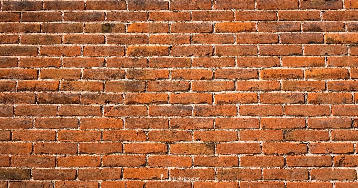 Pre-Drill Masonry Screws Pre-Drill Masonry Screws - Drill Bits Pro