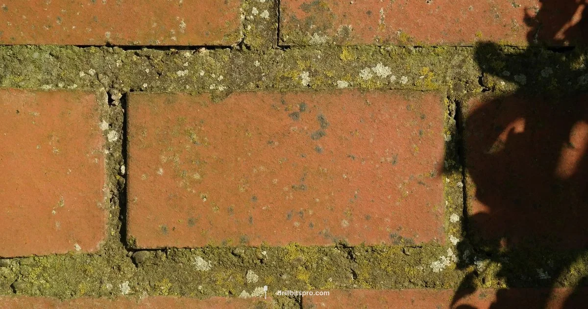 Brick Wall Drilling - Drill Bits Pro