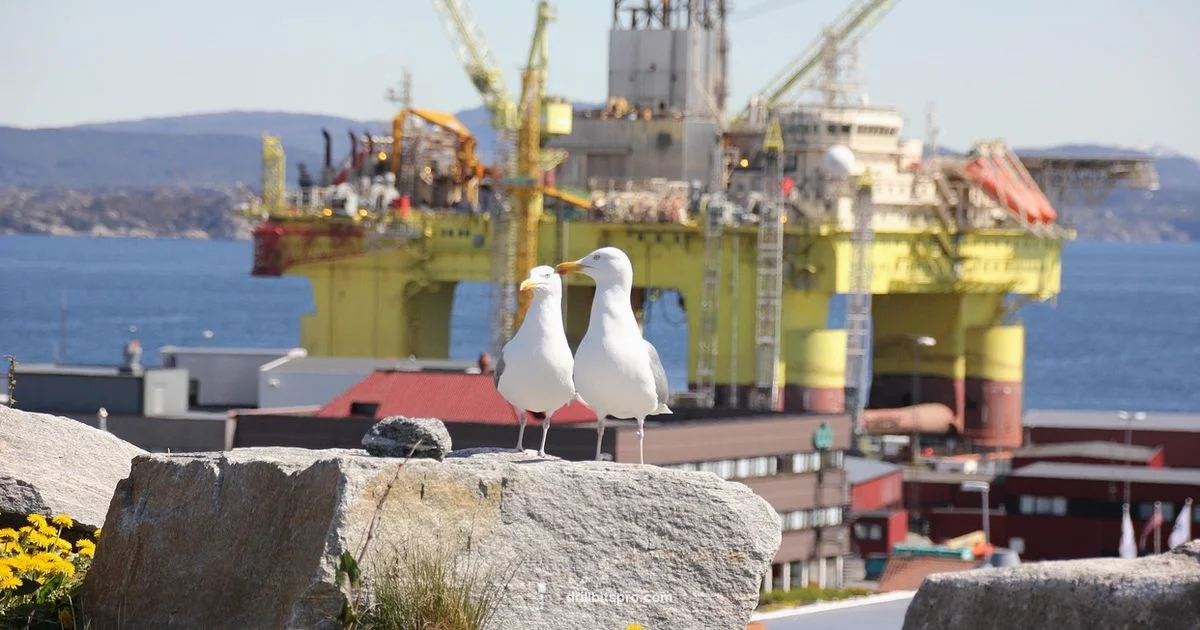 Offshore Drilling Impacts Offshore Drilling Impacts - Drill Bits Pro