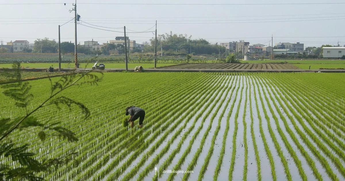 Shallow Well Guide - Drill Bits Pro