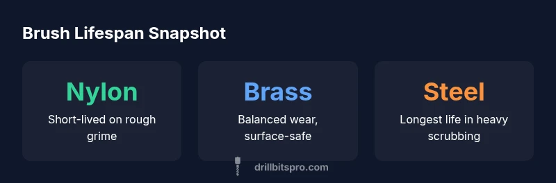 Infographic showing brush lifespan by material