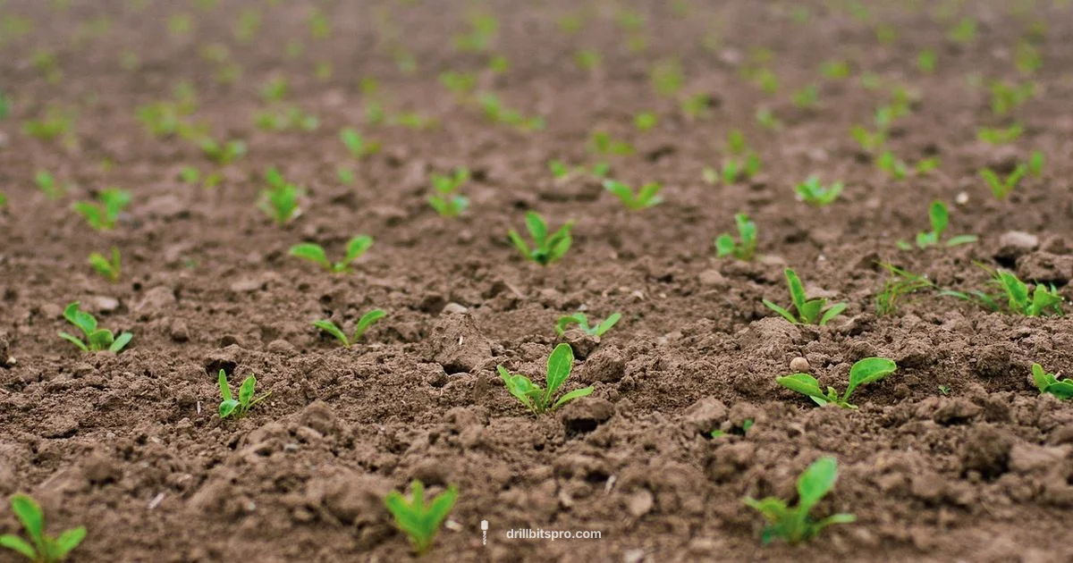 Seed Drill Rental Guide - Drill Bits Pro