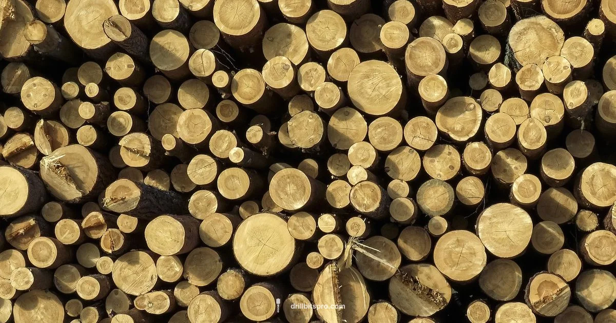 Best Drill Brand Guide Best Drill Brand Guide - Drill Bits Pro