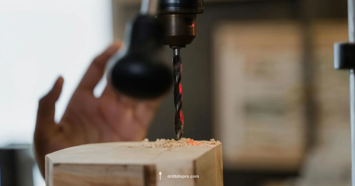 Brushed Drill Lifespan - Drill Bits Pro