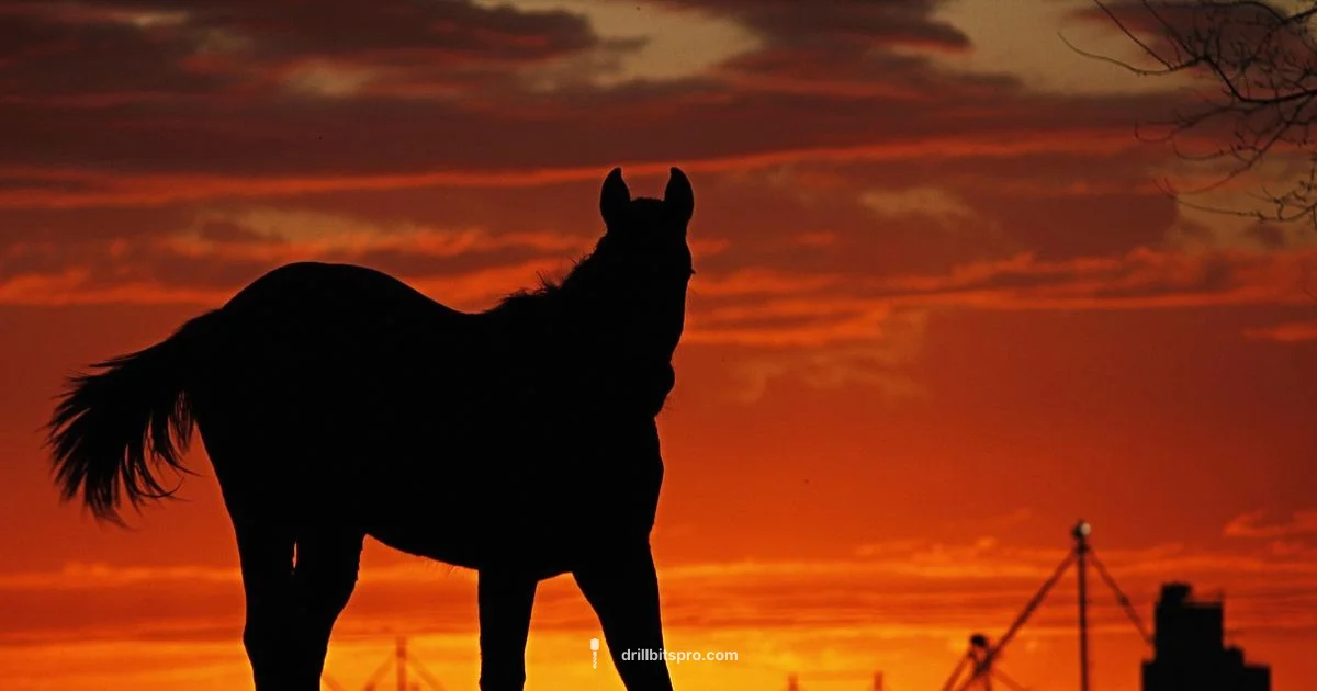 Well Drill Guide - Drill Bits Pro