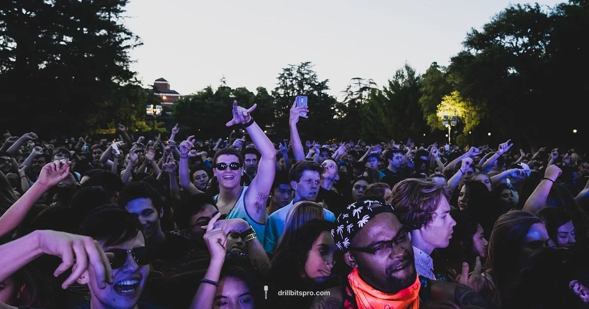 Drill Rap Insights Drill Rap Insights - Drill Bits Pro