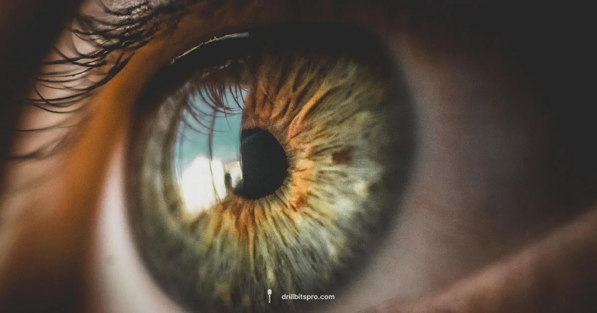 Best Drill Bits 2026 - Drill Bits Pro