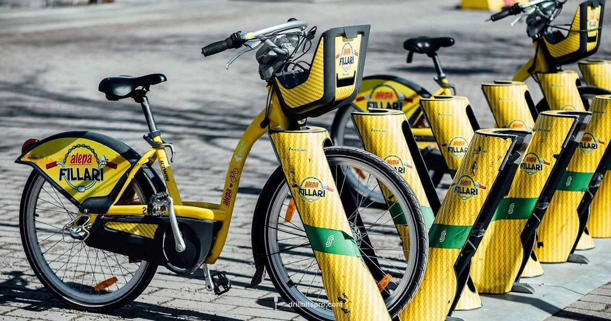 Affordable Drill Options - Drill Bits Pro