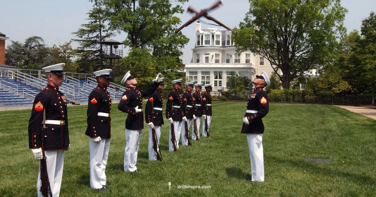 Drill Sergeant Dynamics Drill Sergeant Dynamics - Drill Bits Pro