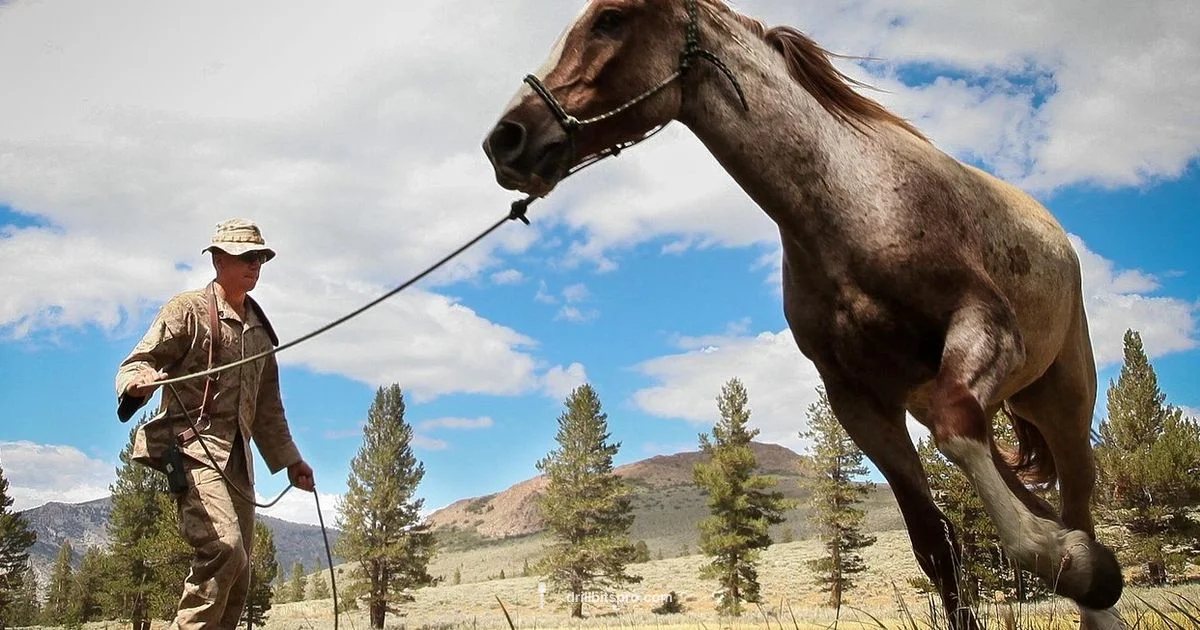 Time Off for Drill Sergeants - Drill Bits Pro