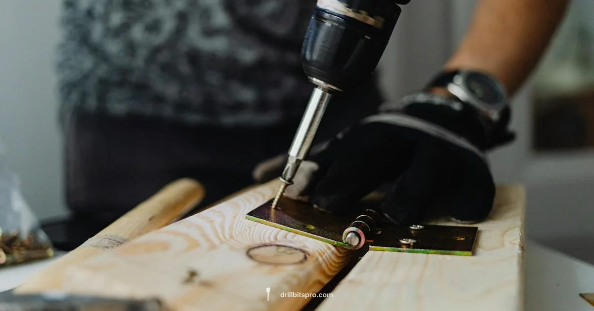 Disk Drill Review - Drill Bits Pro