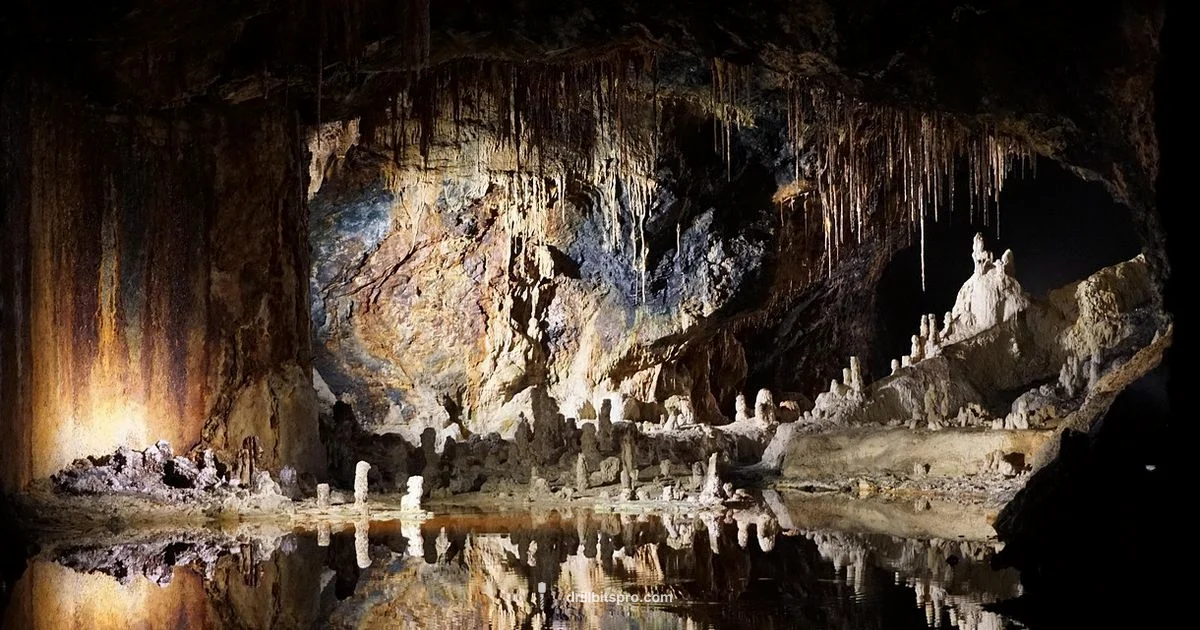 Terraria Drill Guide Terraria Drill Guide - Drill Bits Pro