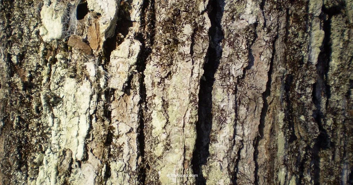 Tap Depth Guide - Drill Bits Pro