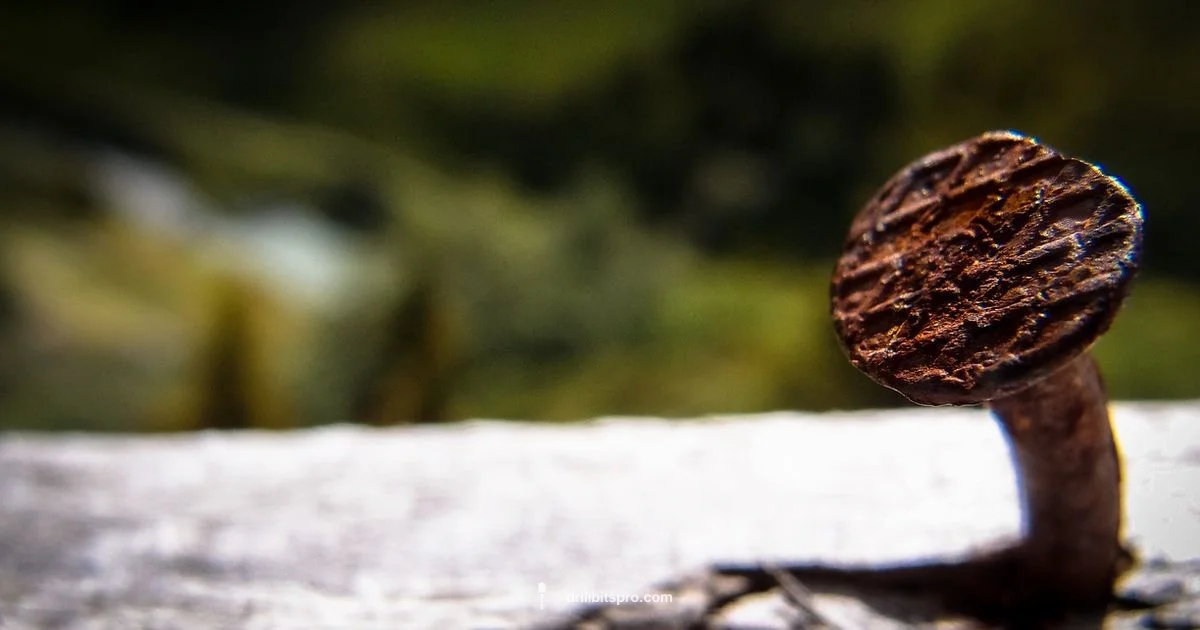 Nail Drill Bits Care Nail Drill Bits Care - Drill Bits Pro