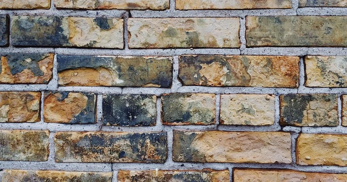 Impact Drill vs Drill - Drill Bits Pro