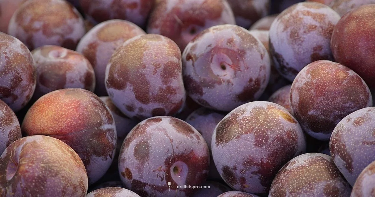 Drill Longevity Guide - Drill Bits Pro