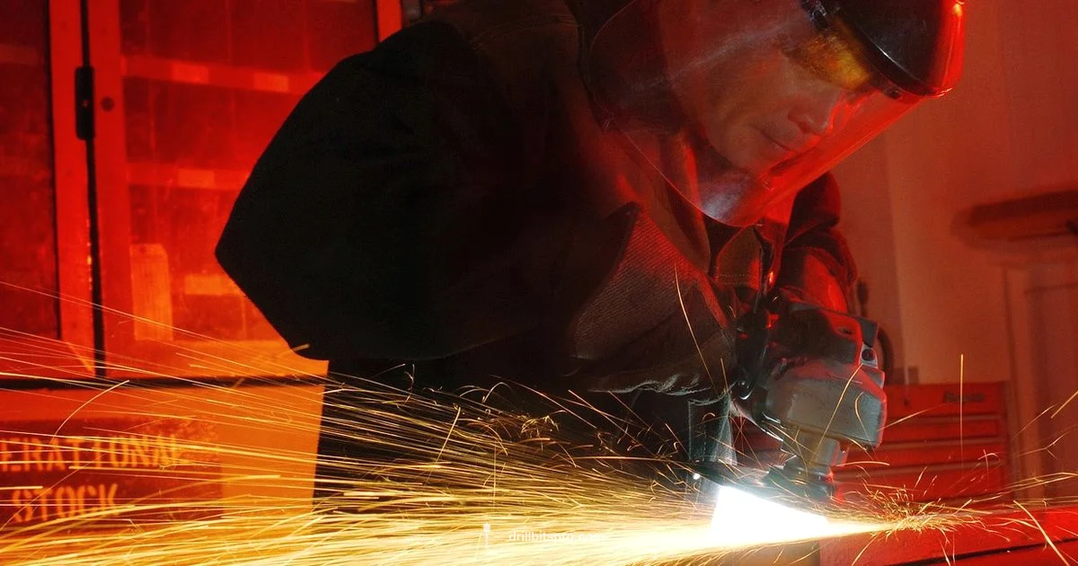 Driller Cat Review - Drill Bits Pro