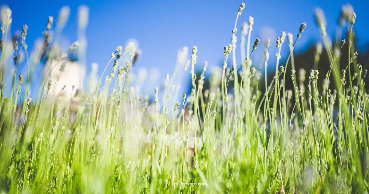 Minecraft Drill Build - Drill Bits Pro