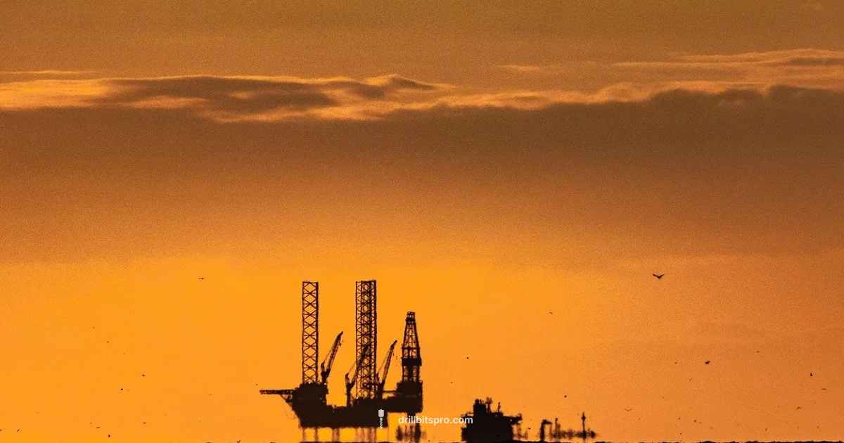 Texas Drilling Dynamics - Drill Bits Pro