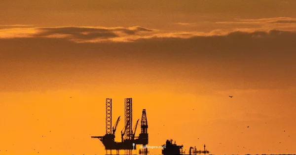 Texas Drilling Dynamics - Drill Bits Pro