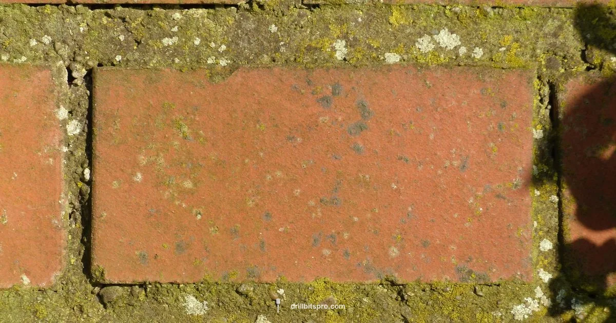 Brick Drill Bits Guide - Drill Bits Pro